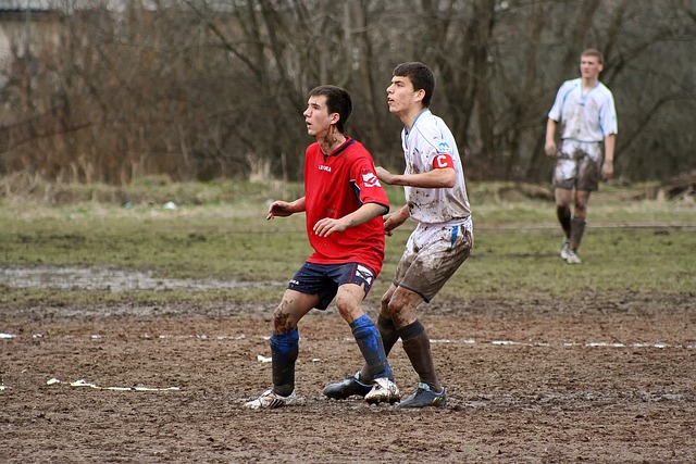 的调整也许 的调整也许