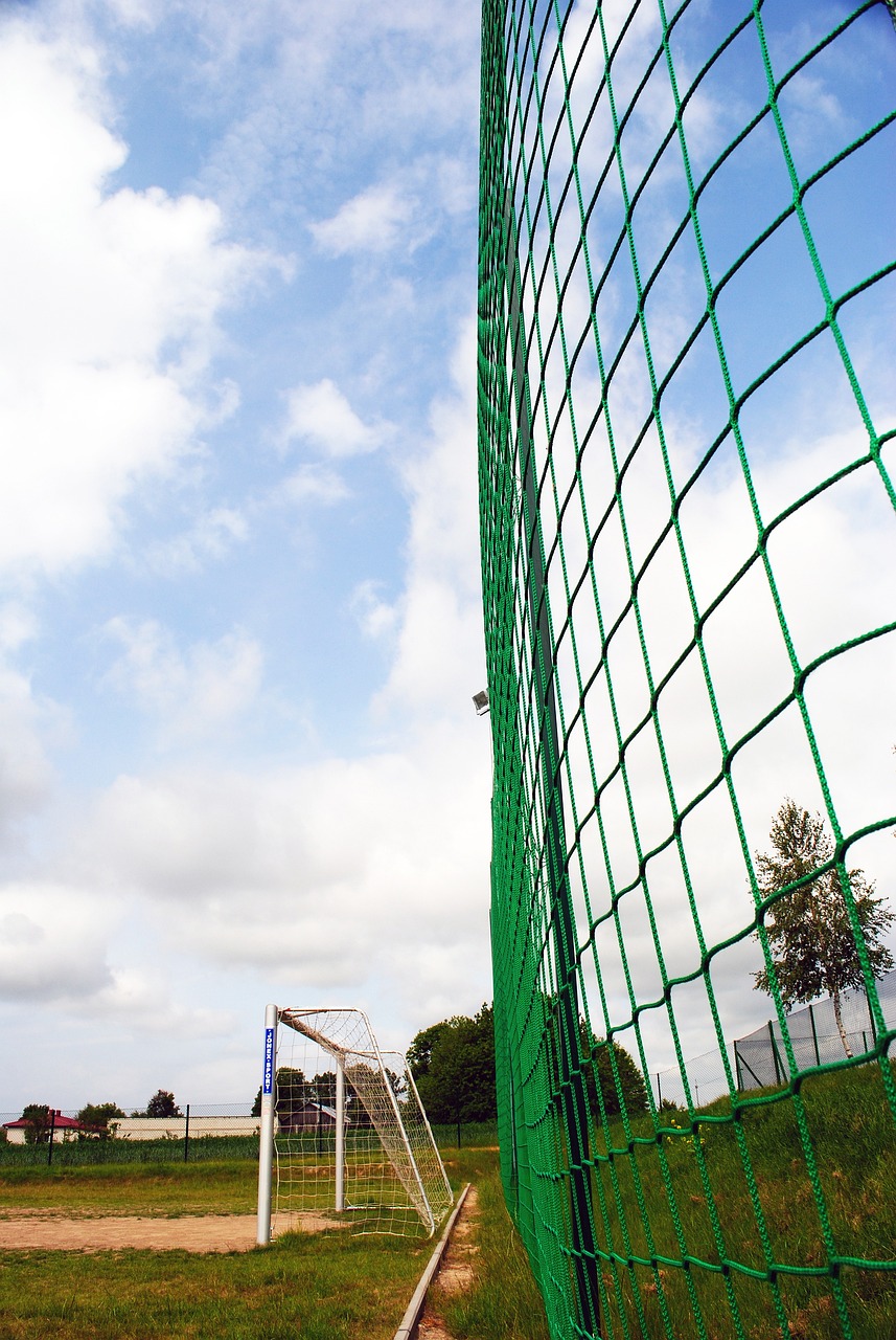 有效激发了 有效激发了