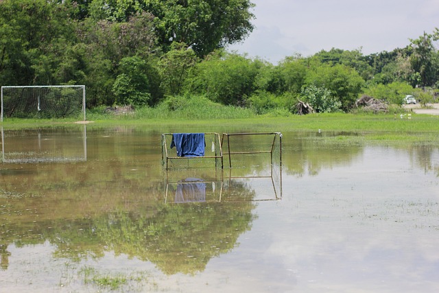 通过反复观 通过反复观