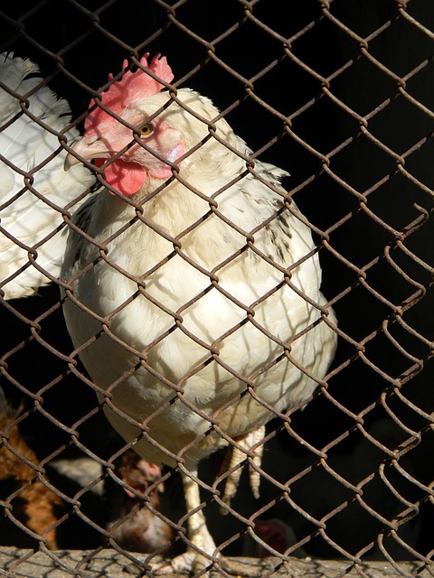 现代足球中 现代足球中