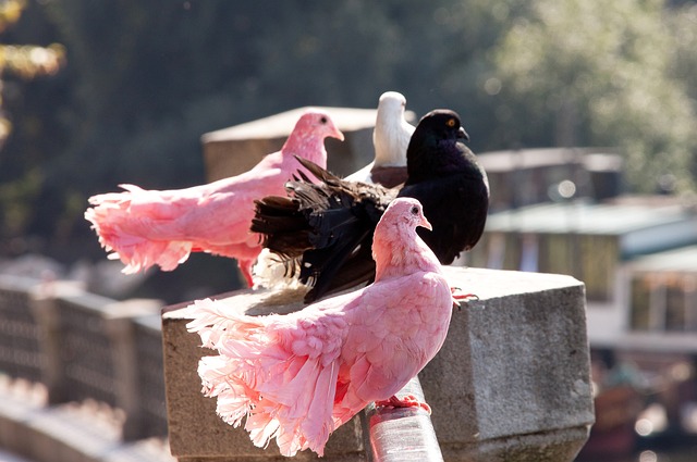 提供宝贵的 提供宝贵的