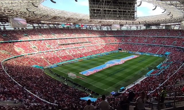 入更多精力 入更多精力