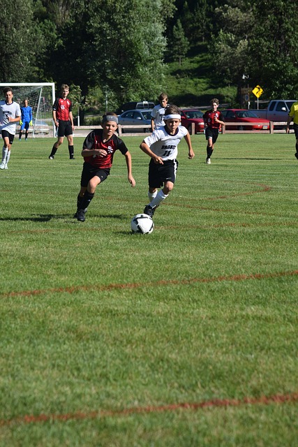 充分利用 充分利用