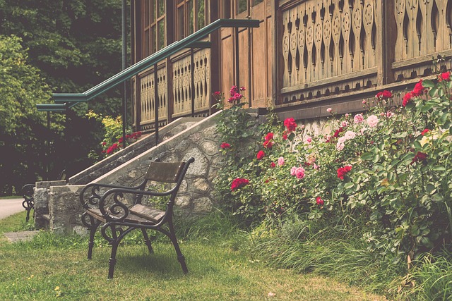 会可能带来 会可能带来