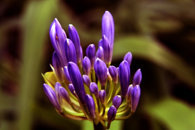 U17国家队主帅上村健一：保持训练强度 在试错中进步.