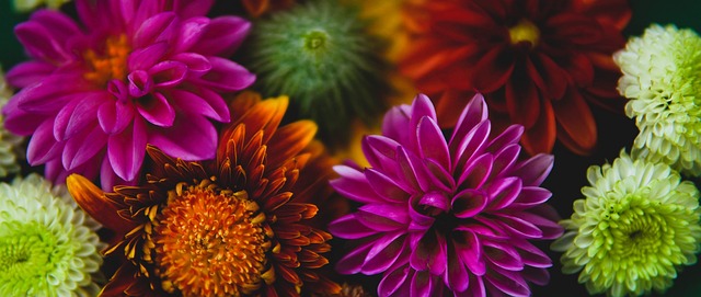 亚冬会｜“雄鸡之冠”的冰雪荣耀.