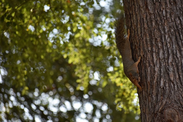 易市场的复 易市场的复